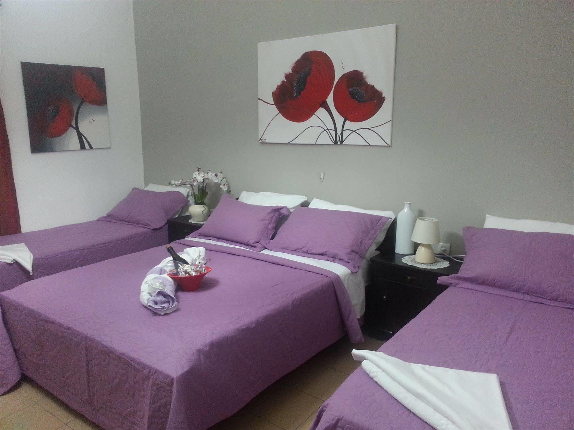 Zimmer Garden Haifa Ngoại thất bức ảnh